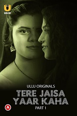 Tere Jaisa Yaar Kaha Part 1 Ullu Originals